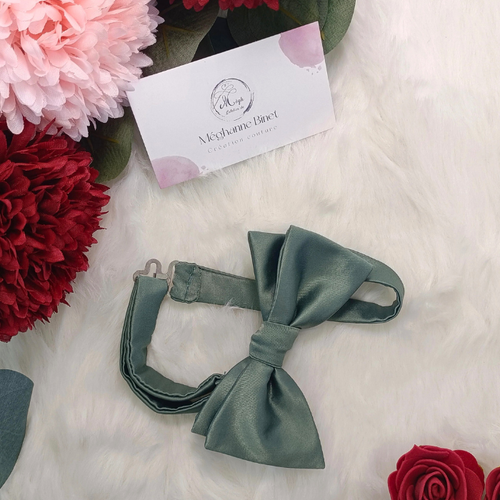 Nœud papillon pour enfant en satin vert sauge. Accessoire de cérémonie réglable pour garçon, idéal pour cortège de mariage champêtre. Fait main.